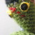:iconsallythebird: