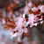 :iconsalmasphotos: