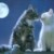 :iconsalmonsushi: