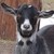 :iconsalobadgirl: