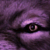 :iconsalokin-ennahoj: