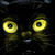 :iconsalom14: