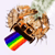 :iconsaltici: