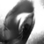 :iconsaltstang: