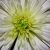 :iconsalu-photos: