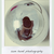 :iconsam-hunt: