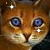 :iconsam-spike4ever: