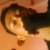 :iconsam-tha-blackangel27: