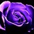 :iconsam7elric: