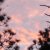 :iconsam8114: