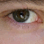 :iconsamaelwolf:
