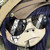:iconsamandmax: