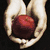 :iconsamaneh1995: