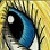 :iconsamankerrkid: