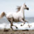 :iconsamanor: