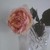 :iconsamathaatthuyr: