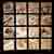:iconsambre-sylfaen: