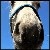 :iconsamdog254:
