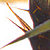 :iconsame-side: