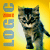 :iconsamerage: