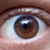 :iconsamflach: