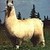 :iconsami-saurus:
