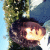 :iconsamiedixvie: