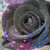 :iconsamieo-o: