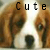 :iconsamigantz: