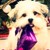 :iconsamiiword: