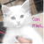 :iconsamistar: