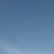 :iconsamitmerman: