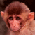 :iconsamkitsch: