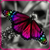 :iconsamlilith: