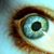 :iconsamm830: