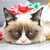 :iconsammeh-boo: