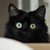 :iconsammisato: