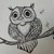 :iconsammyfirfly: