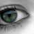 :iconsammylovespriscilla: