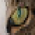 :iconsamnsun: