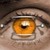 :iconsamou: