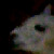 :iconsamruby2stock: