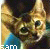 :iconsamsammy: