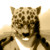 :iconsamseison: