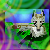 :iconsamspot8r8s: