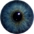 :iconsamwise592:
