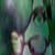 :iconsamwiseeyes: