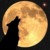 :iconsamy-fantasy: