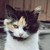 :iconsamy28546: