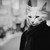 :iconsan-hunt: